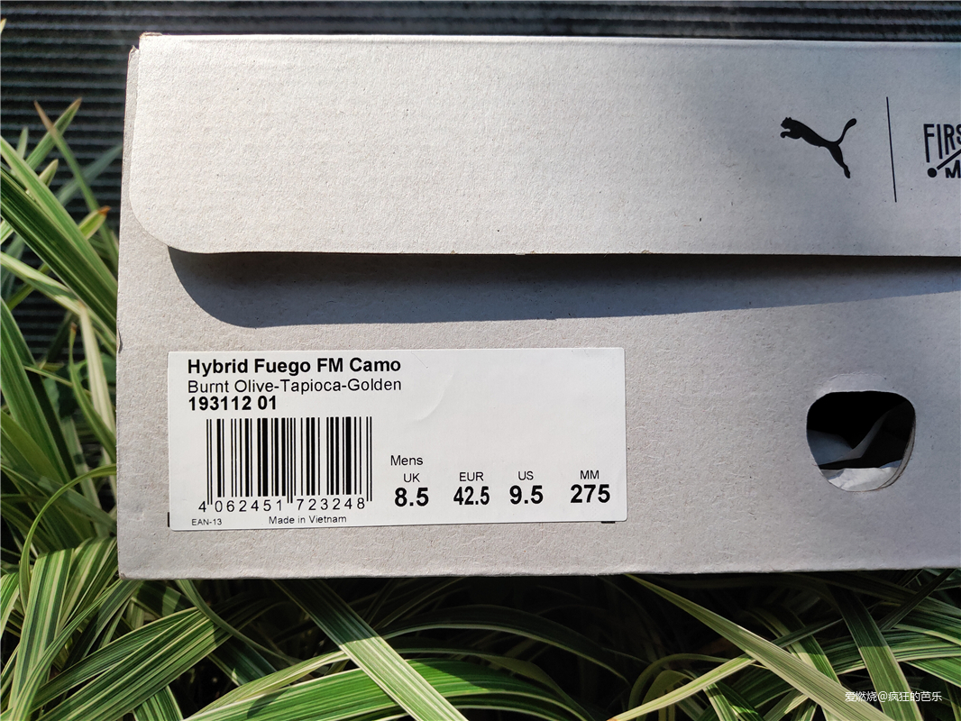 环球的美洲狮|彪马Hybrid Fuego x First Mile环保跑鞋评测