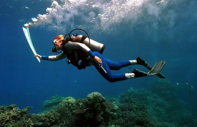 国际奥林匹克日 | 奥运圣火的故事