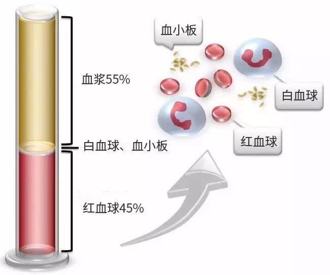 世界献血者日 | 做有爱的热血跑者