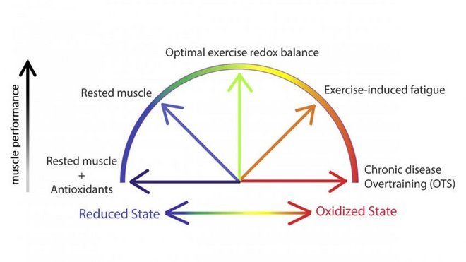 你有过“过度训练综合症”吗？