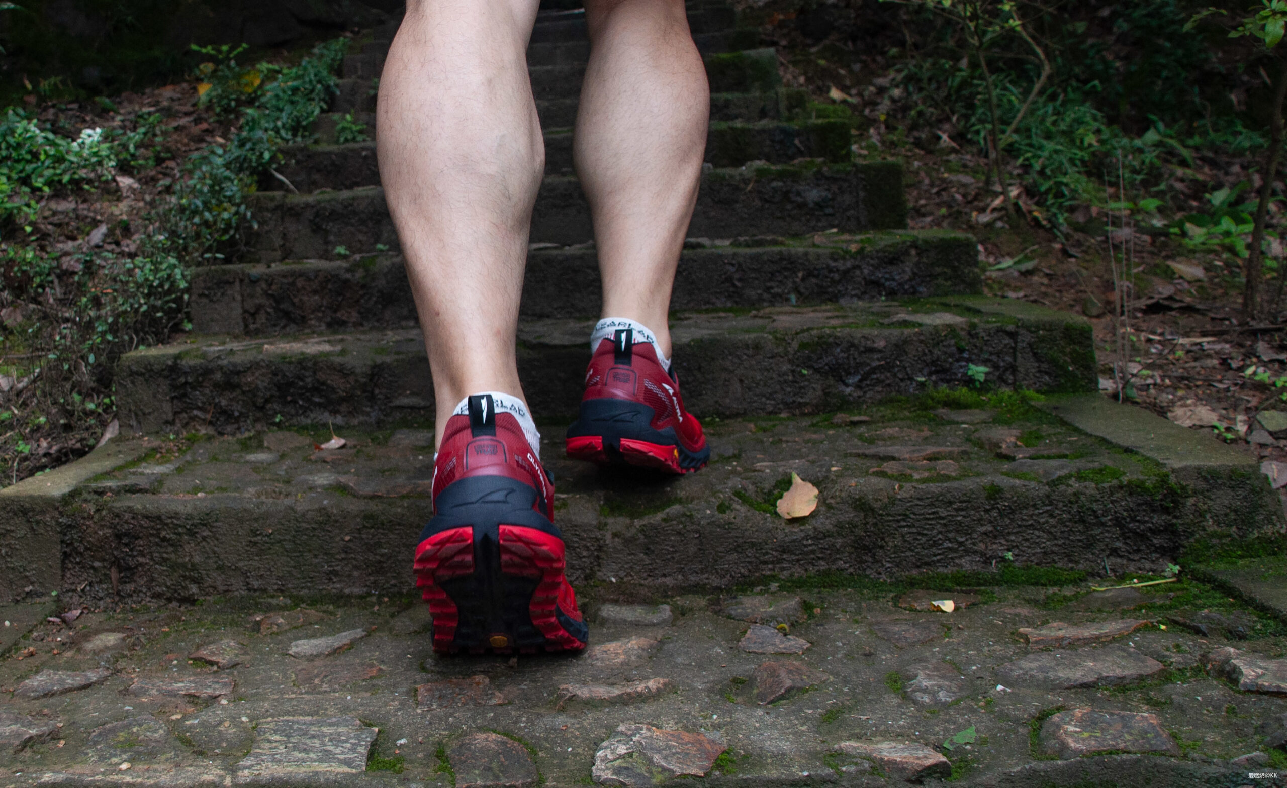 到第四代的Olympus，终于迎来了全新的革命