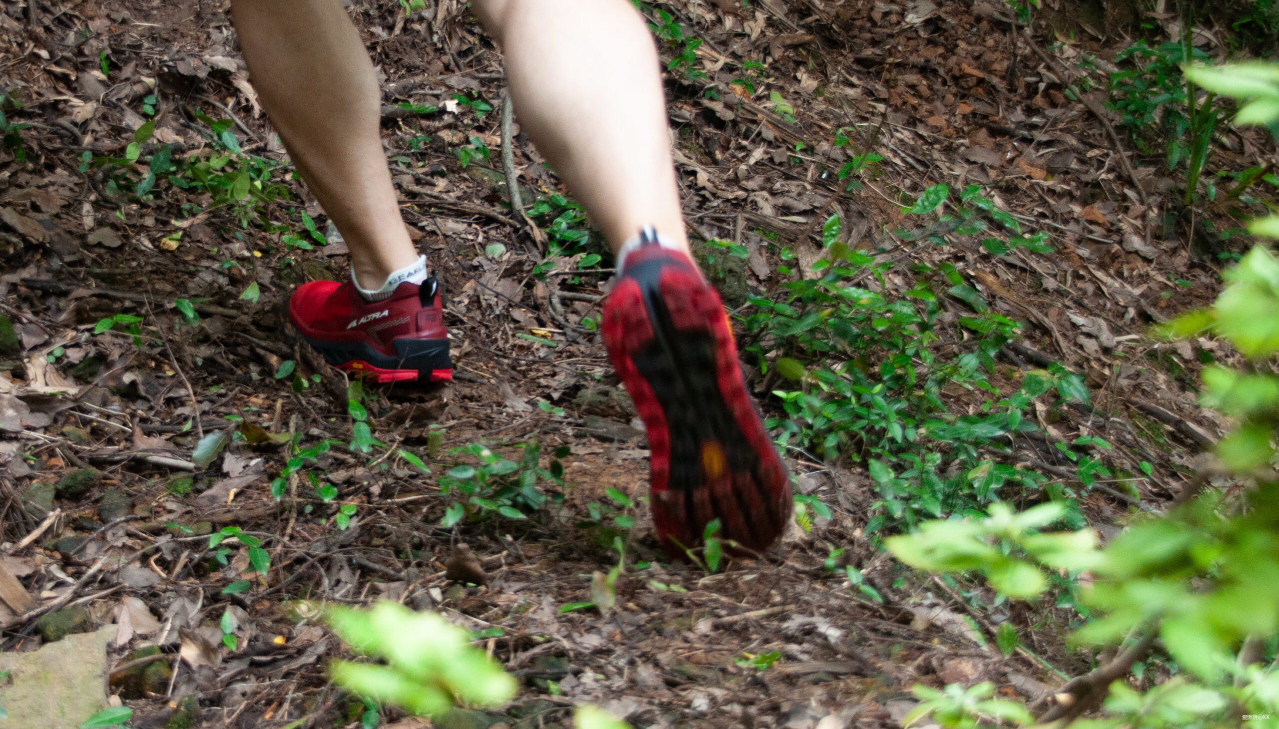 到第四代的Olympus，终于迎来了全新的革命