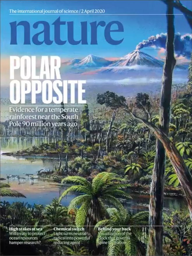 说好无糖能变瘦 你却偷偷长了肉