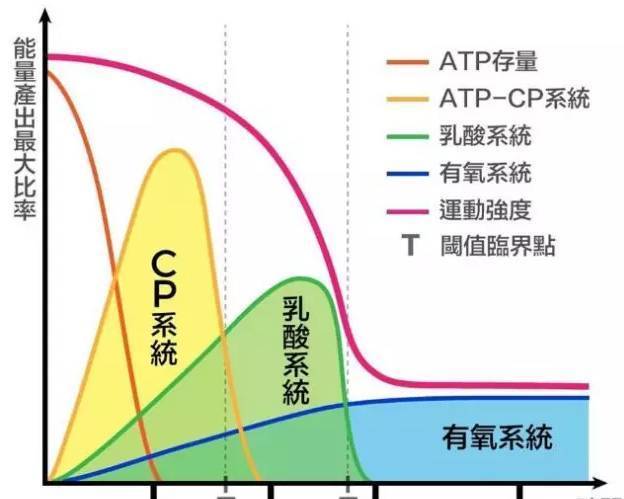 跑步后，感觉身体被掏空……