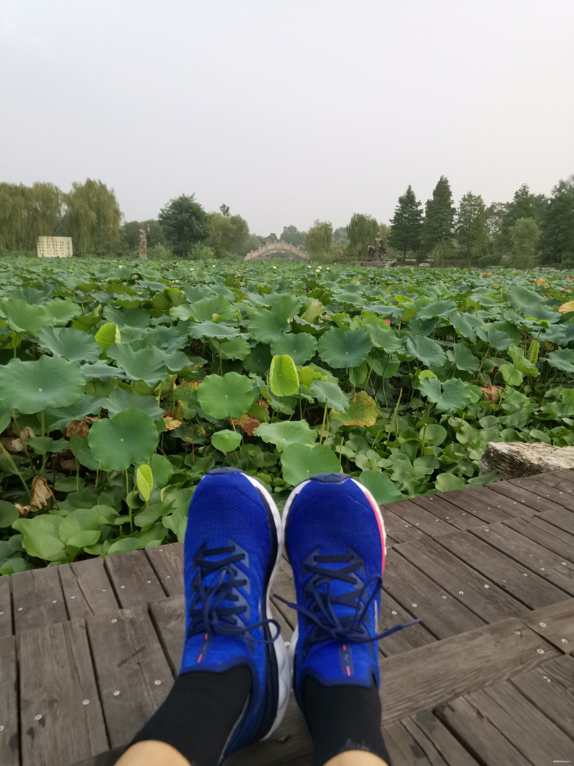 Mizuno美津浓舒适包裹慢跑鞋WAVE SKY NEO众测报告