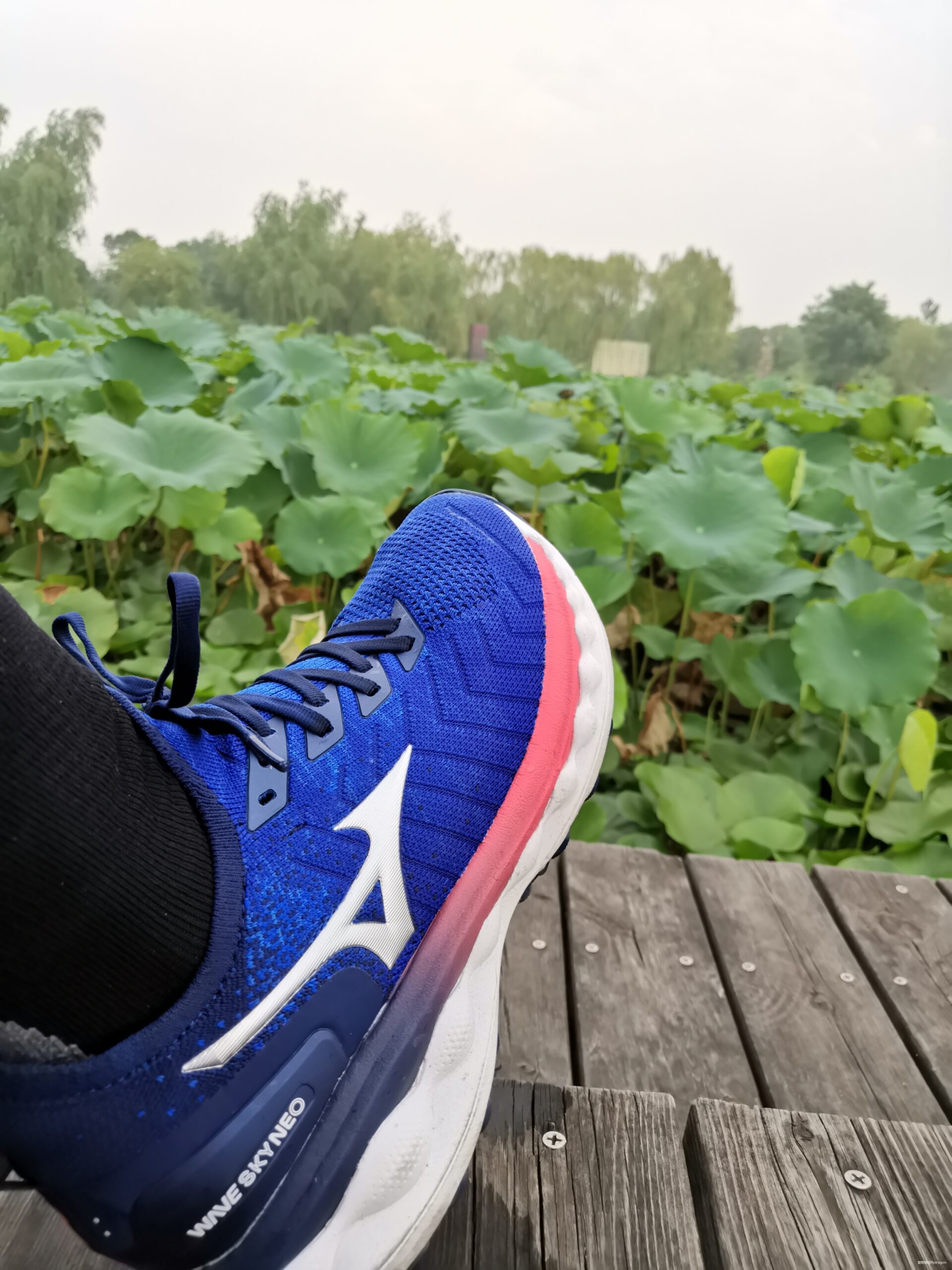 Mizuno美津浓舒适包裹慢跑鞋WAVE SKY NEO众测报告