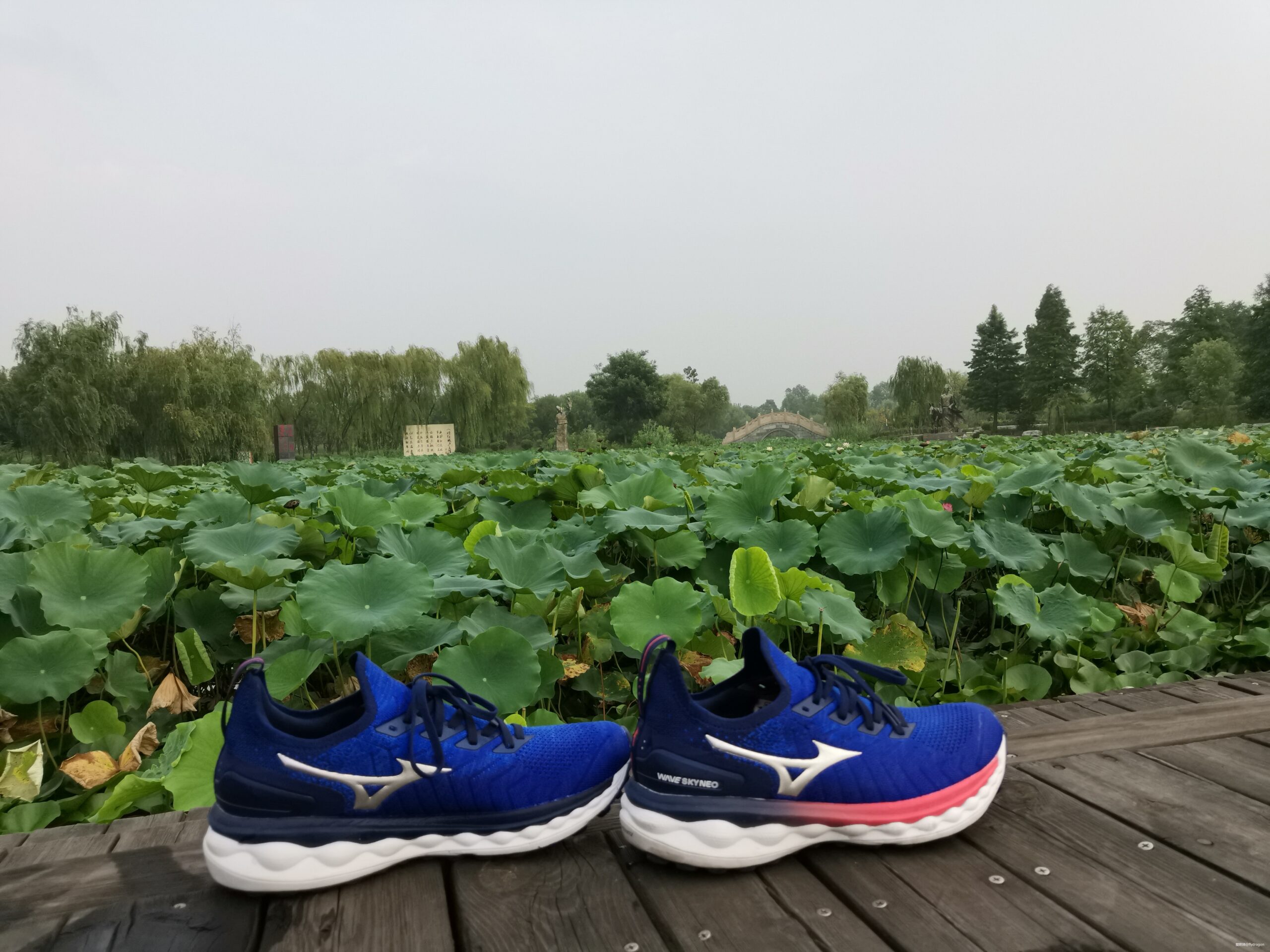 Mizuno美津浓舒适包裹慢跑鞋WAVE SKY NEO众测报告