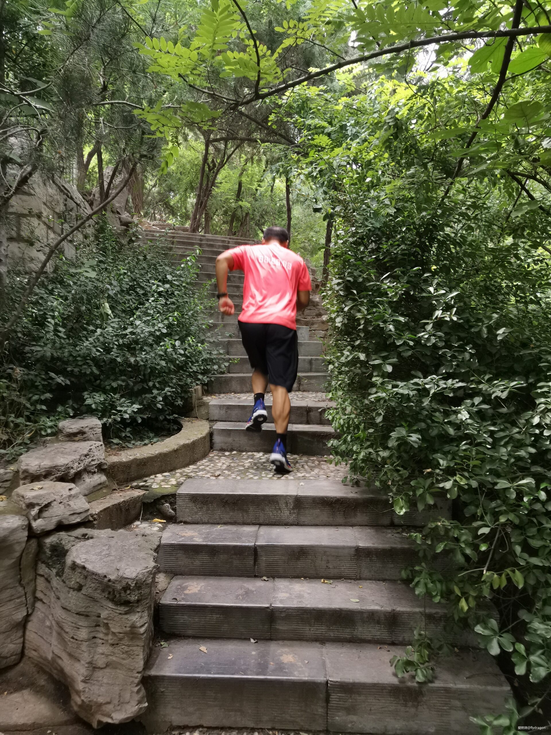 Mizuno美津浓舒适包裹慢跑鞋WAVE SKY NEO众测报告