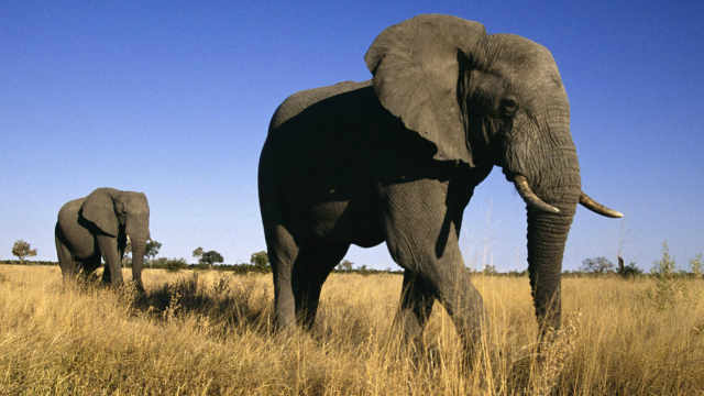 走着走着，怎么就顺拐了？