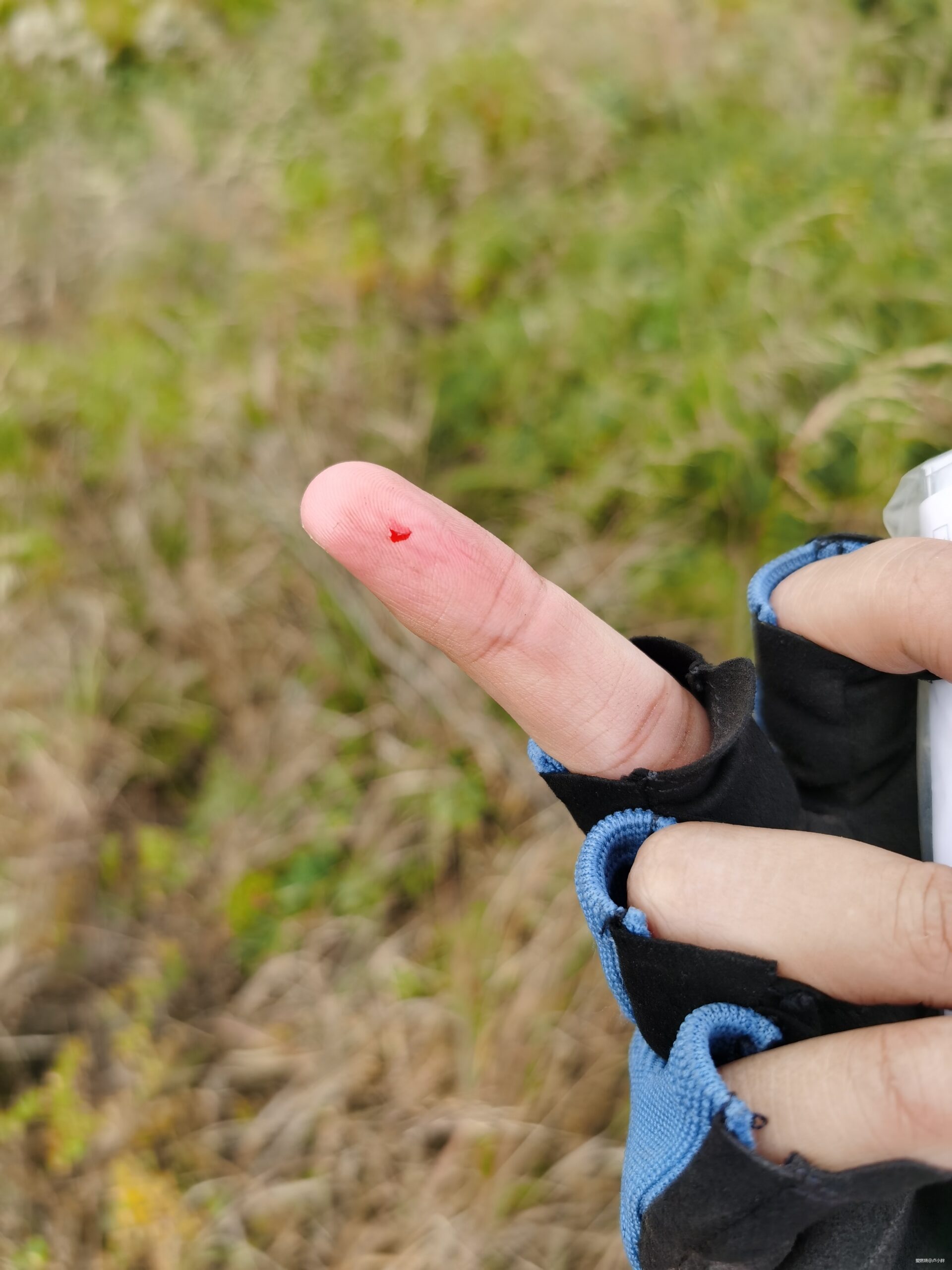 所爱隔山海，山海皆可平---朱雀50赛记