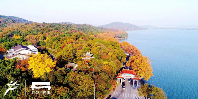 “零差评”锡马，给你一个粉红的回忆