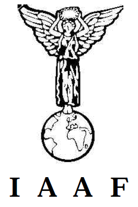 从白金标元年，看国际田联认证