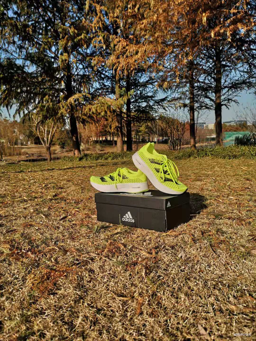 与厚底碳板鞋爱恨纠缠——adidas adizero adios Pro测评