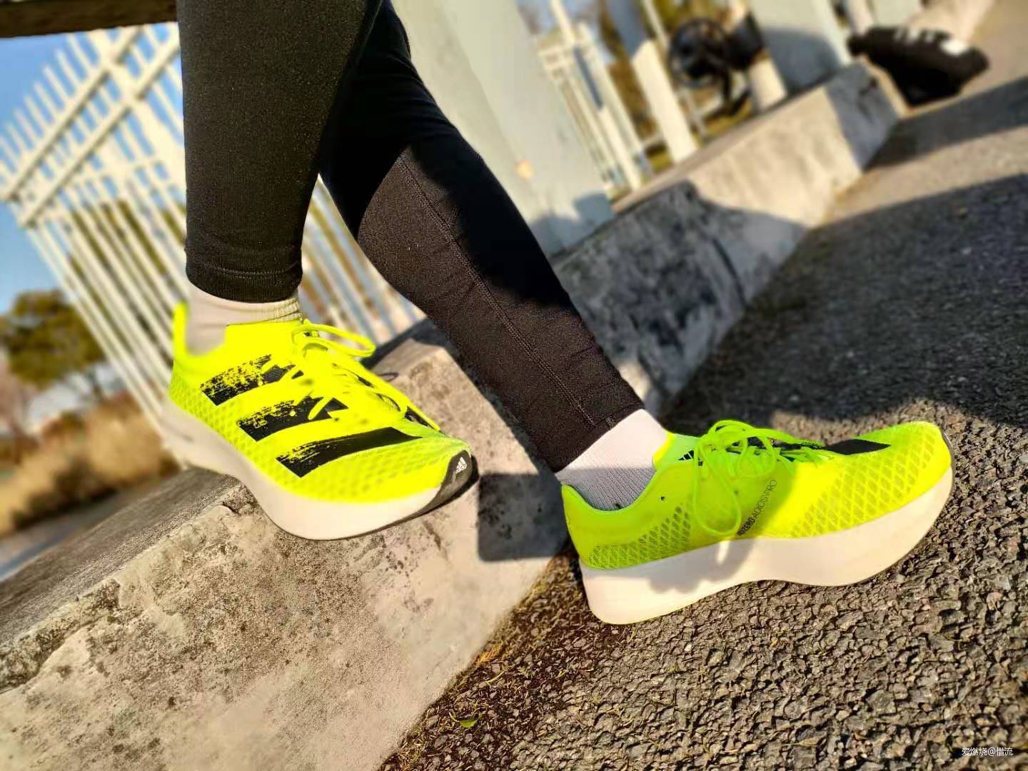 与厚底碳板鞋爱恨纠缠——adidas adizero adios Pro测评