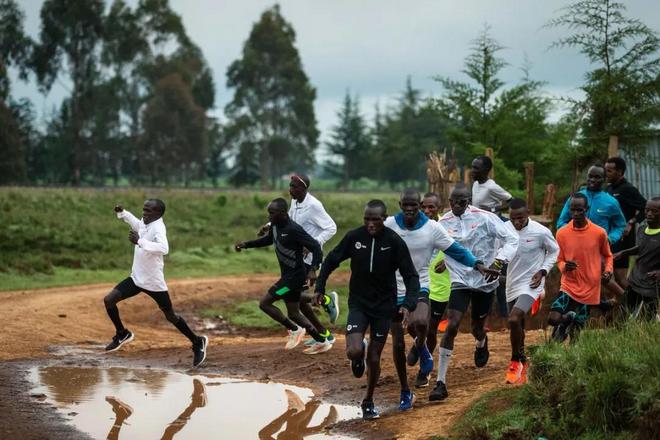 每周该跑几次？