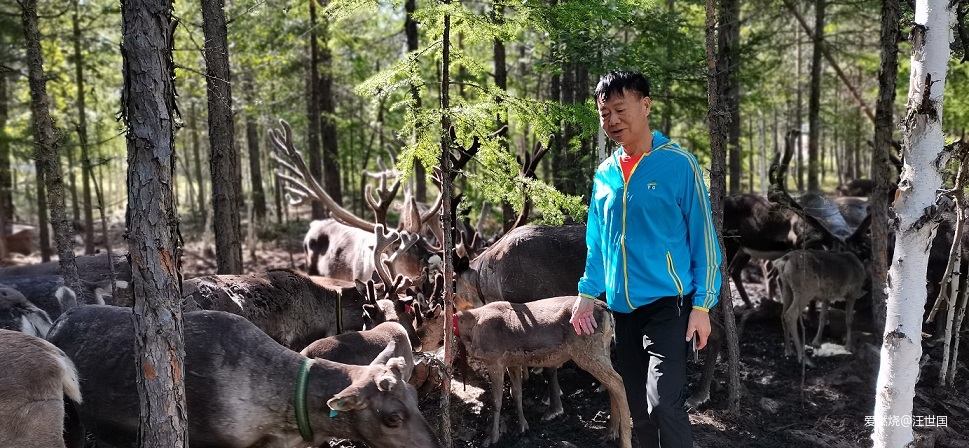 漠河北极村跑马不虚此行  哈尔滨中央大街不负美食