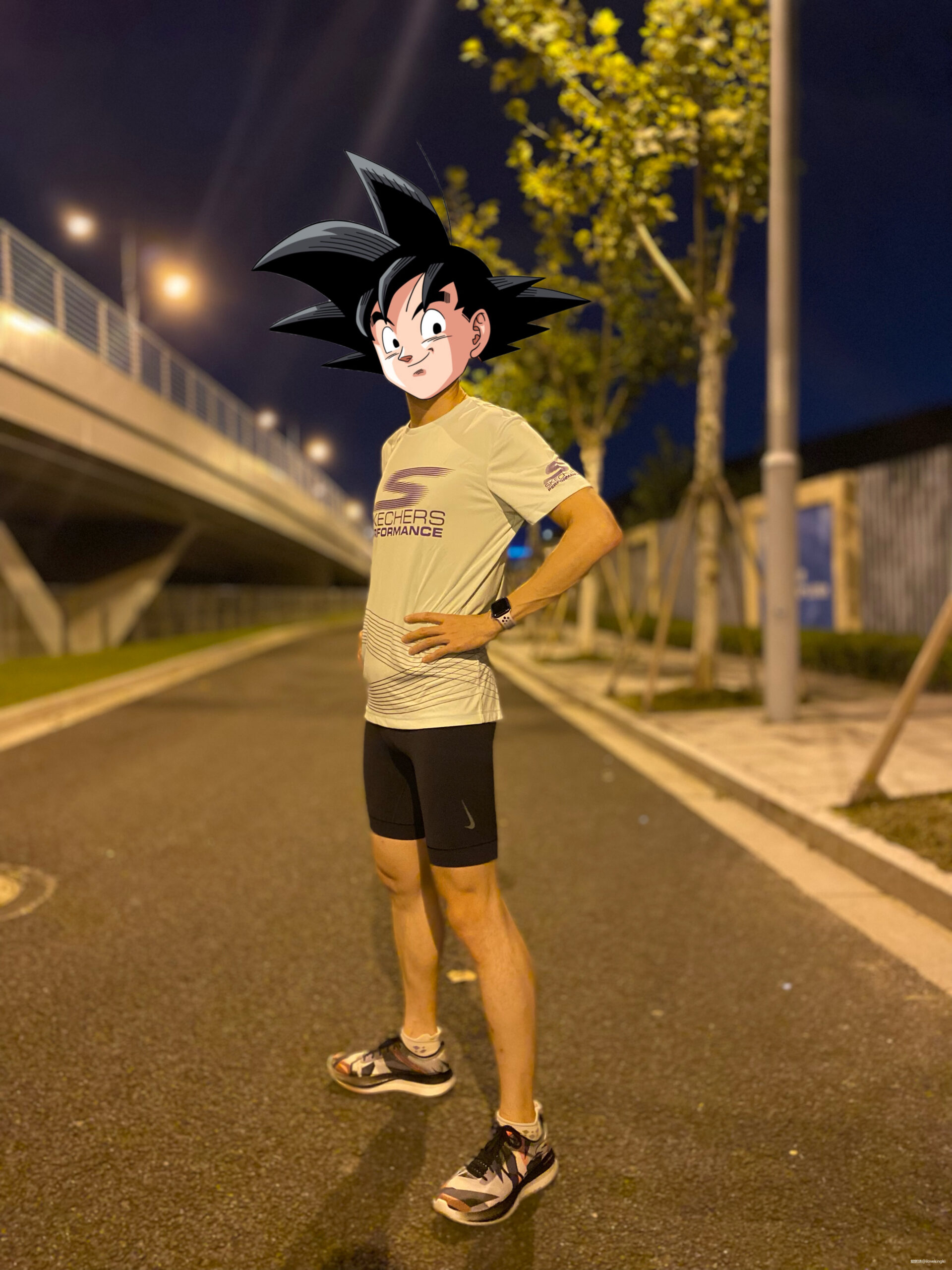 又轻又弹！从4分到8分配，更适合大众Skechers Speed Freek飞客碳板跑鞋