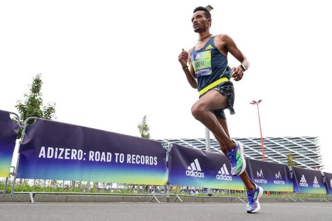 赛事陆续回归 保持期待但也应做好预期管理