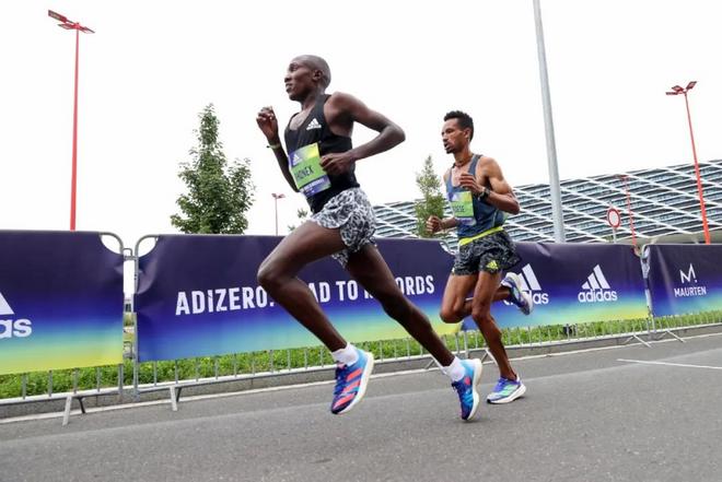 赛事陆续回归 保持期待但也应做好预期管理