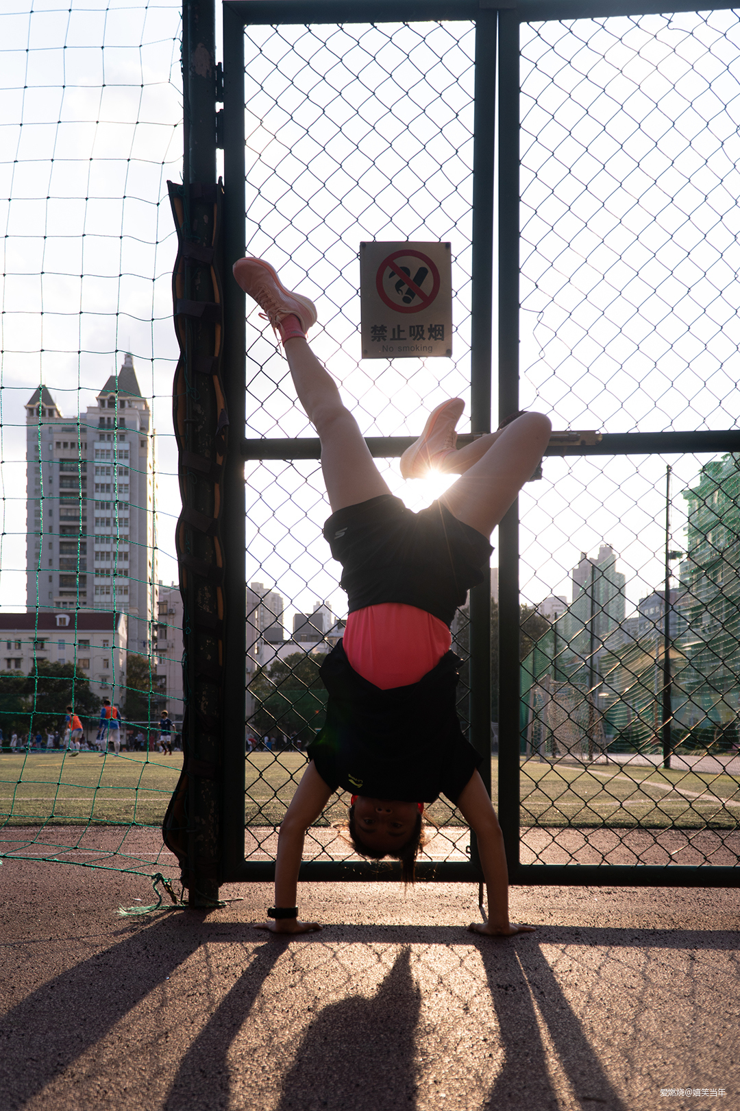 鞋中有赤兔，风雨都无阻