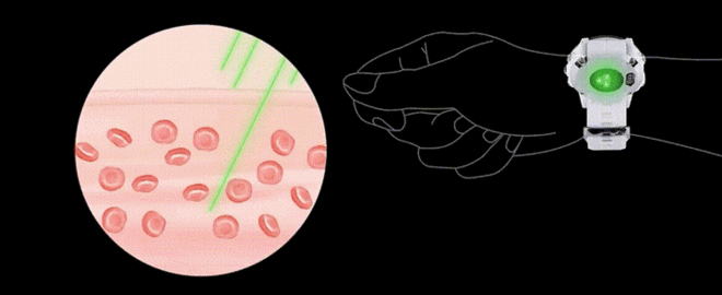 本能 Instinct 2 CITY BOY外表下的硬核实力派