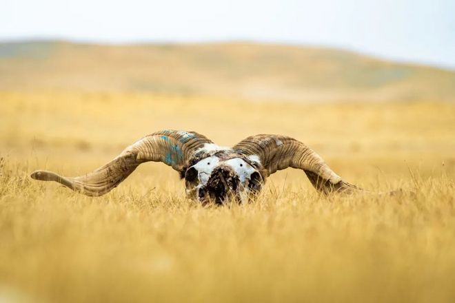 户外活动第一礼仪