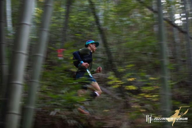 仗剑莫干｜竹海山间的武侠浪漫