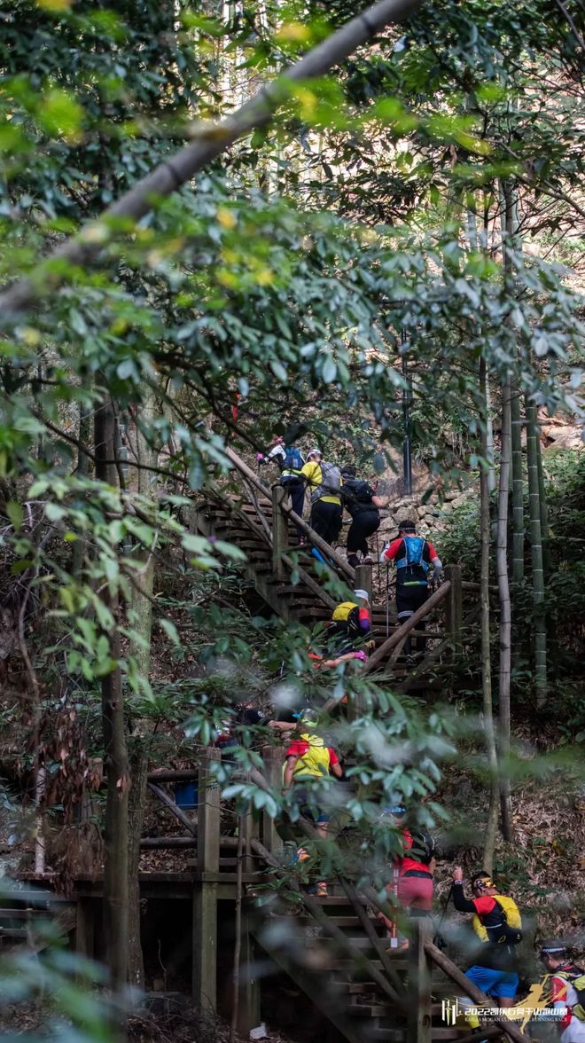 仗剑莫干｜竹海山间的武侠浪漫
