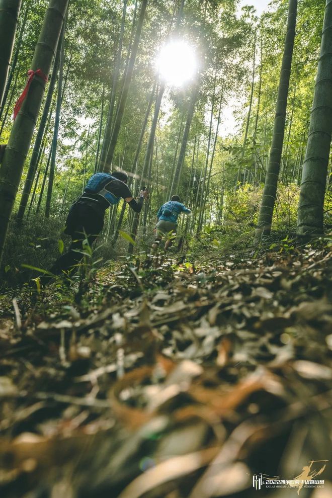 仗剑莫干｜竹海山间的武侠浪漫