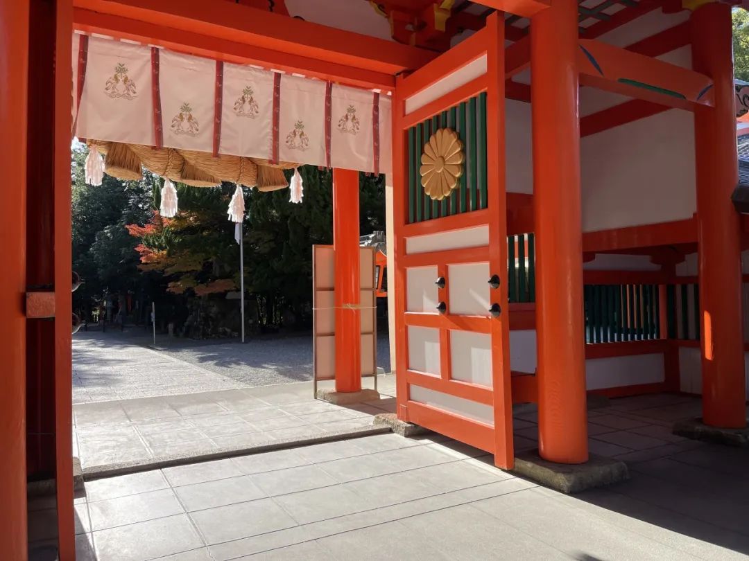 山迹街GoOut｜11-12月红叶季，来熊野古道徒步吧