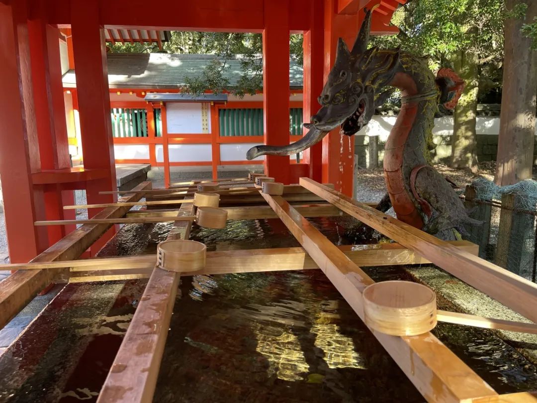 山迹街GoOut｜11-12月红叶季，来熊野古道徒步吧