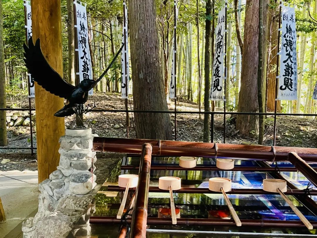 山迹街GoOut｜11-12月红叶季，来熊野古道徒步吧