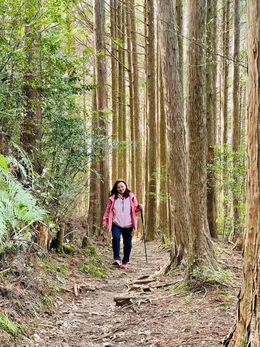 山迹街GoOut｜11-12月红叶季，来熊野古道徒步吧