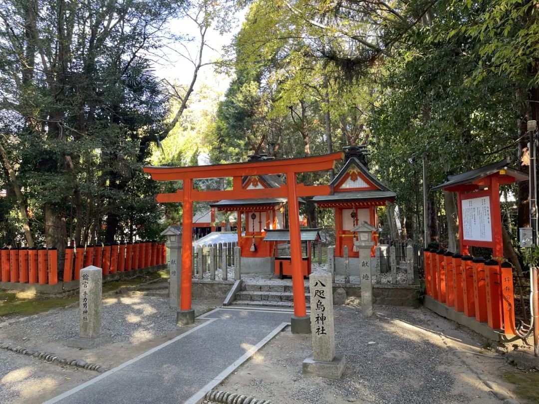 山迹街GoOut｜11-12月红叶季，来熊野古道徒步吧