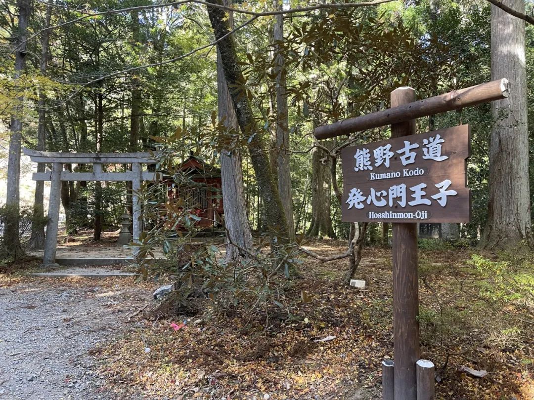 山迹街GoOut｜11-12月红叶季，来熊野古道徒步吧