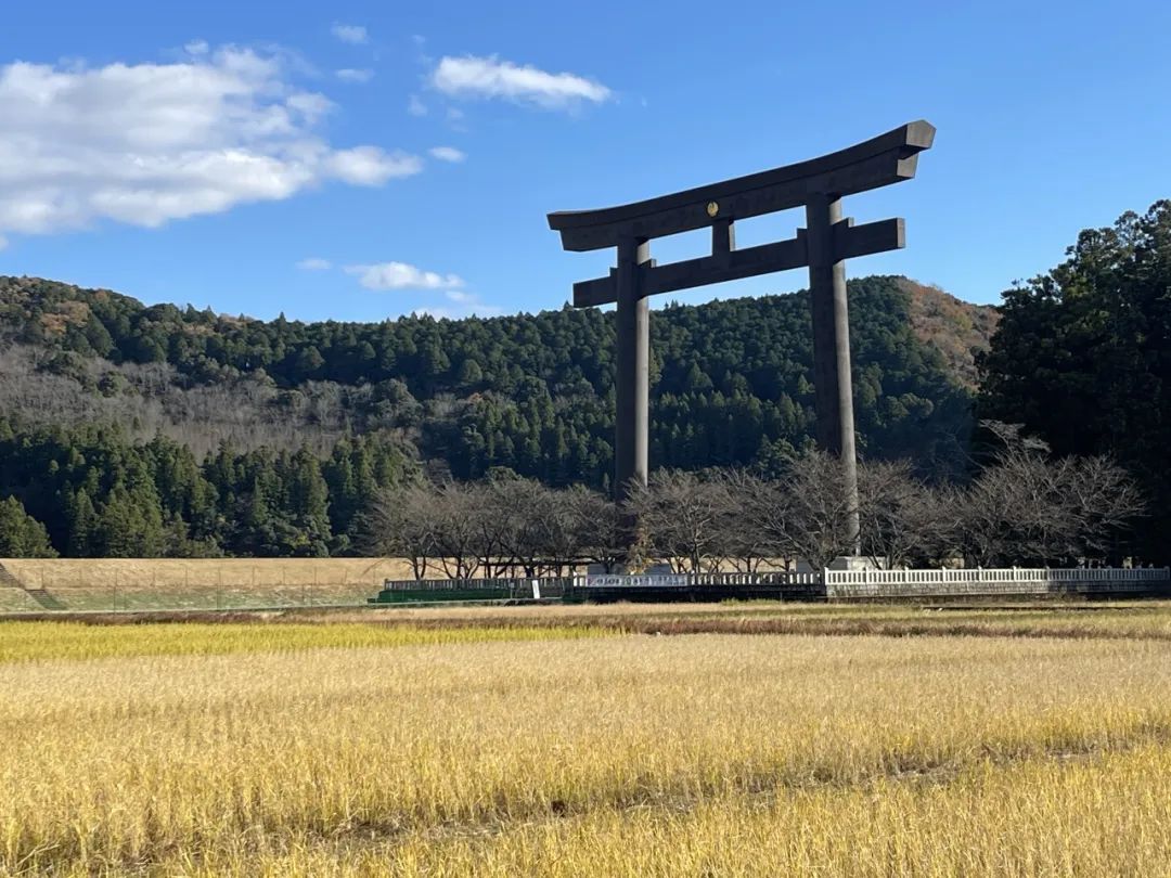 山迹街GoOut｜11-12月红叶季，来熊野古道徒步吧