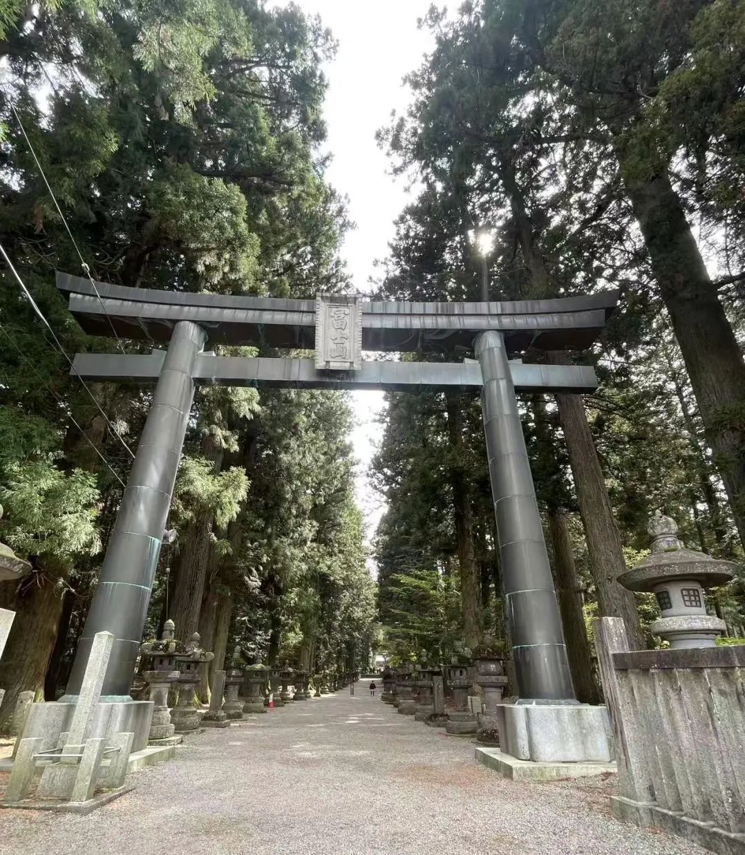 山迹街KIDS｜ 来富士山度过暑假时光