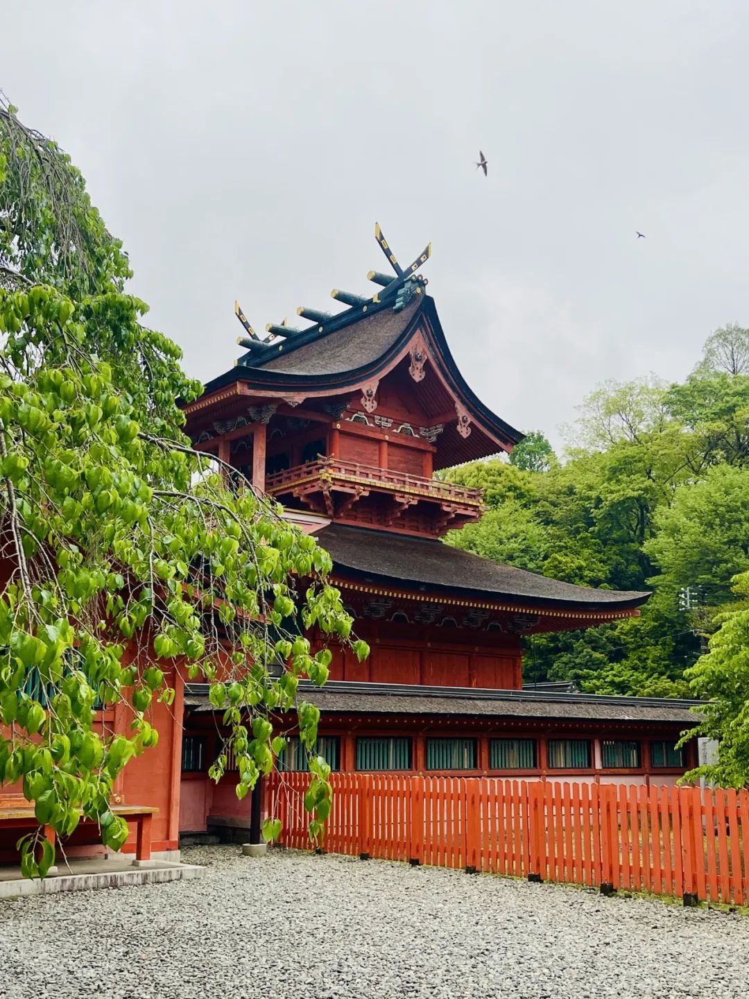 山迹街GoOut | 富士山登顶，出发！ (8月9日-8月12日)