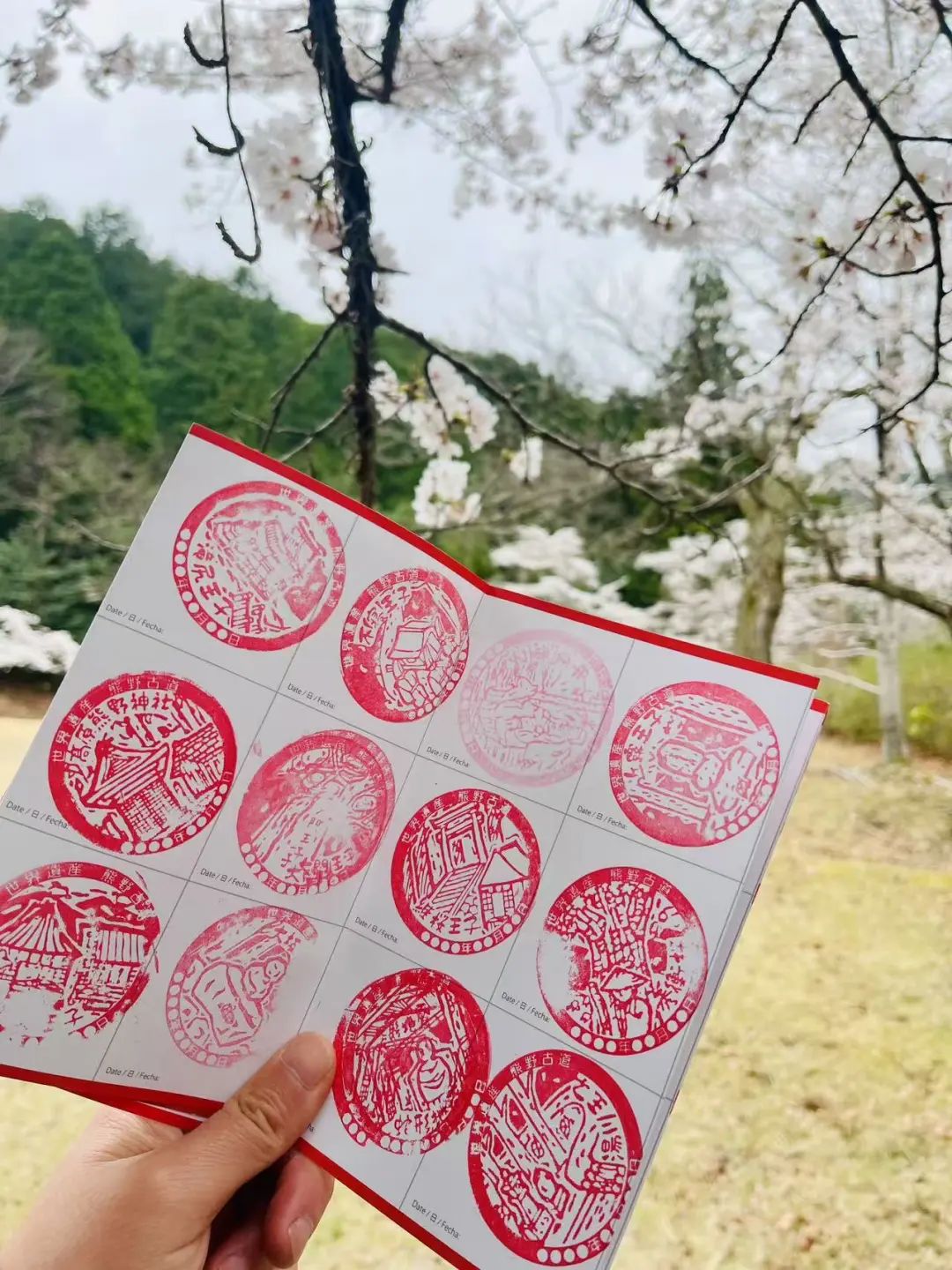 山迹街GoOut｜十一假期的熊野朝圣之旅（10.3 -10.8/10.9 名额稀缺）