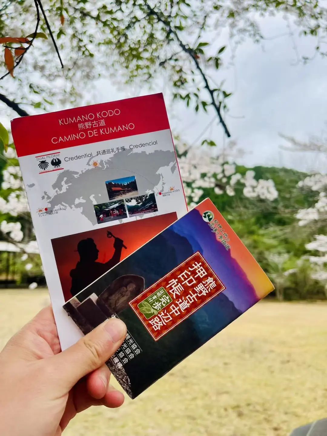 山迹街GoOut｜十一假期的熊野朝圣之旅（10.3 -10.8/10.9 名额稀缺）