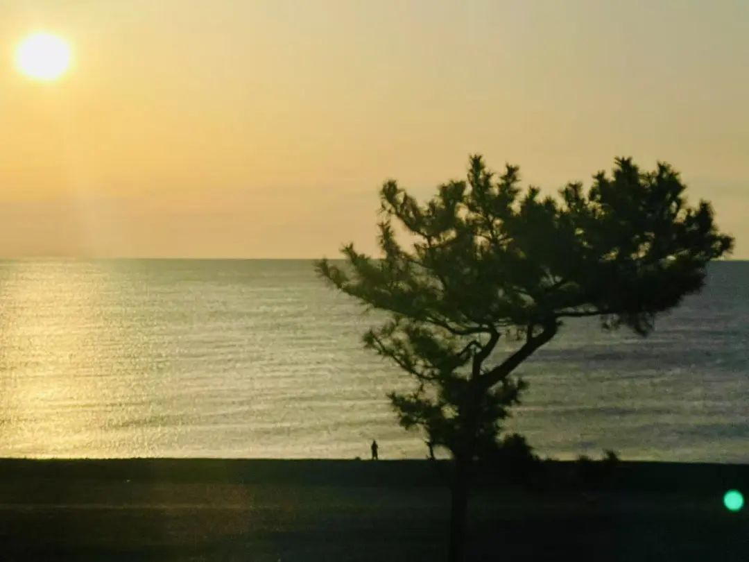 山迹街GoOut｜十一假期的熊野朝圣之旅（10.3 -10.8/10.9 名额稀缺）