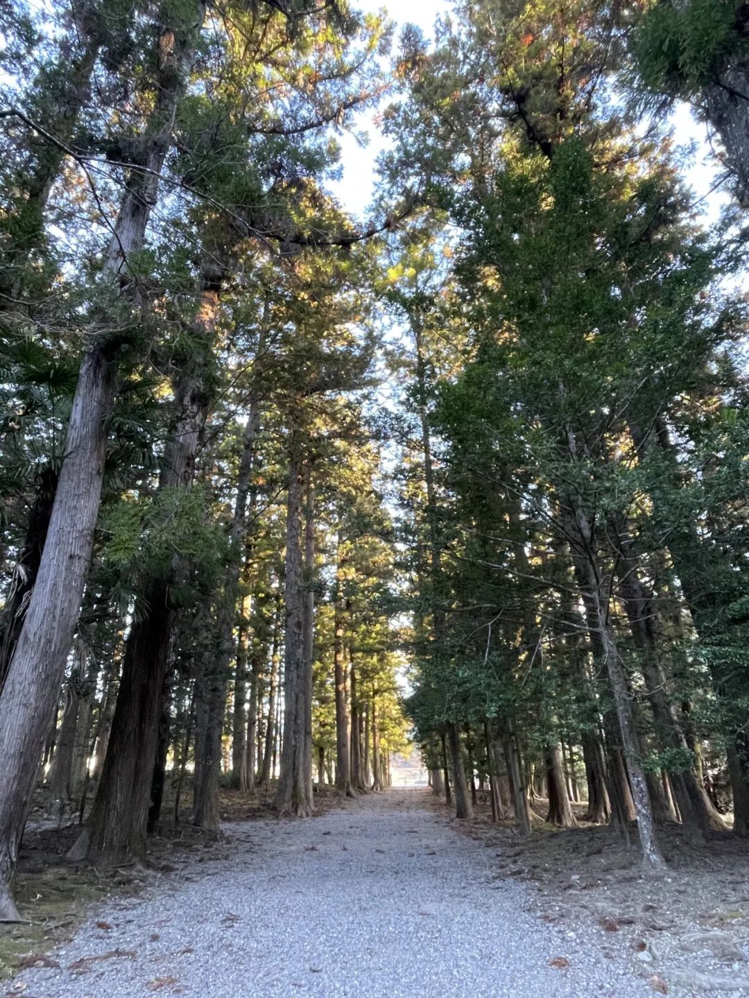 山迹街GoOut｜十一假期的熊野朝圣之旅（10.3 -10.8/10.9 名额稀缺）