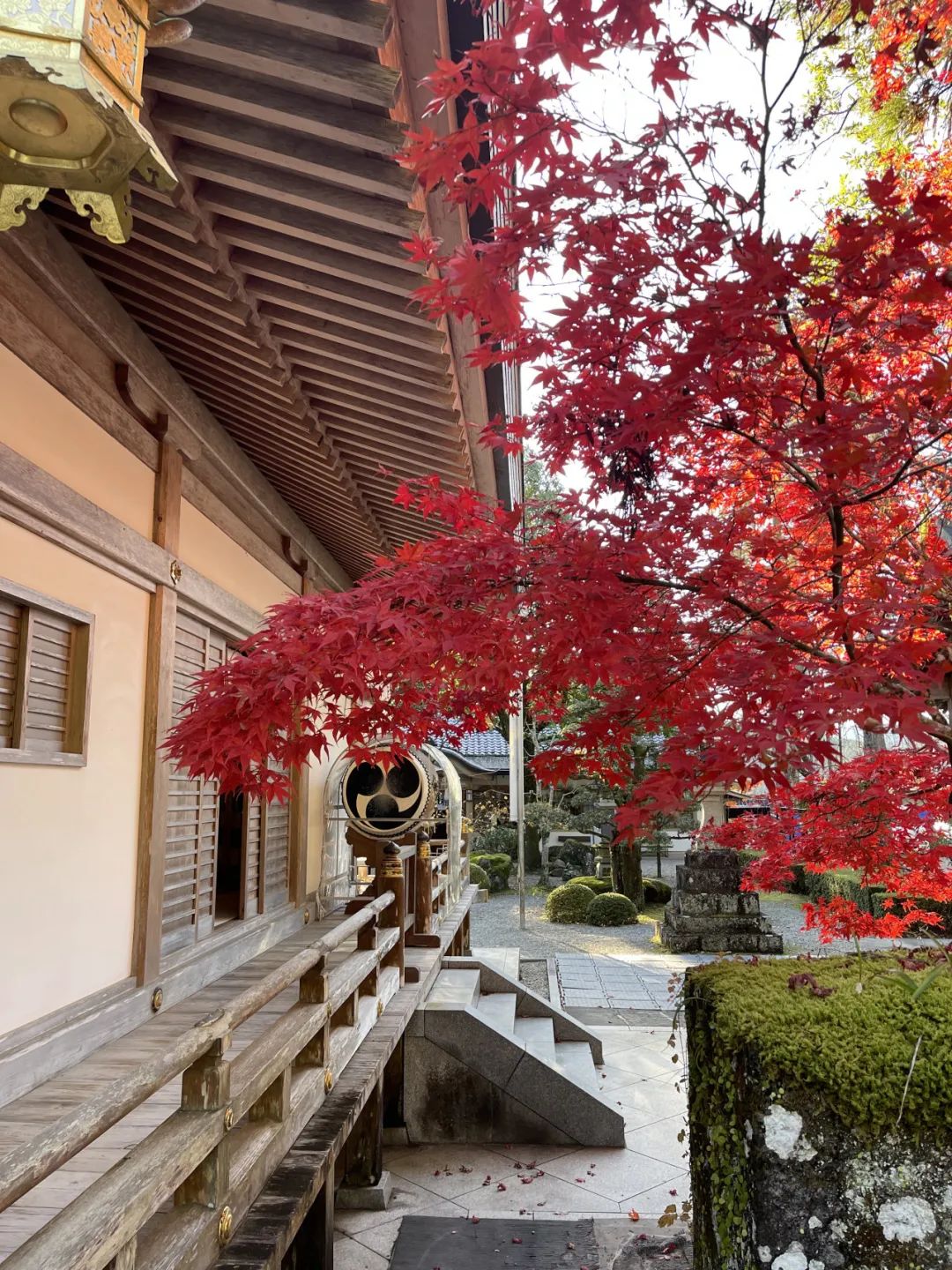 山迹街GoOut｜十一假期的熊野朝圣之旅（10.3 -10.8/10.9 名额稀缺）