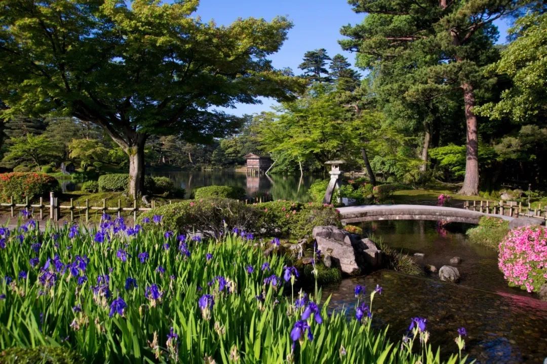 山迹街GoOut | 小京都，加贺温泉，白川乡，日本北陆的冬天