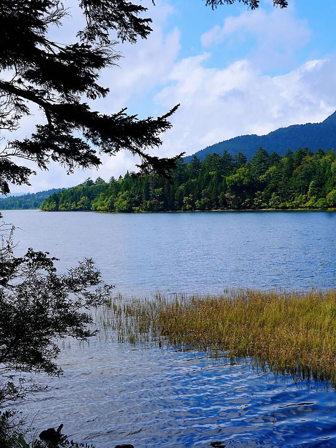 山迹街ESSAY | 何以尾濑?