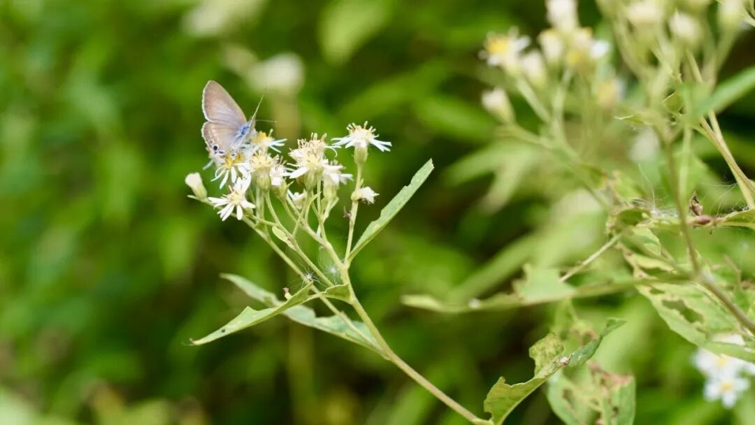 山迹街ESSAY | 何以尾濑?