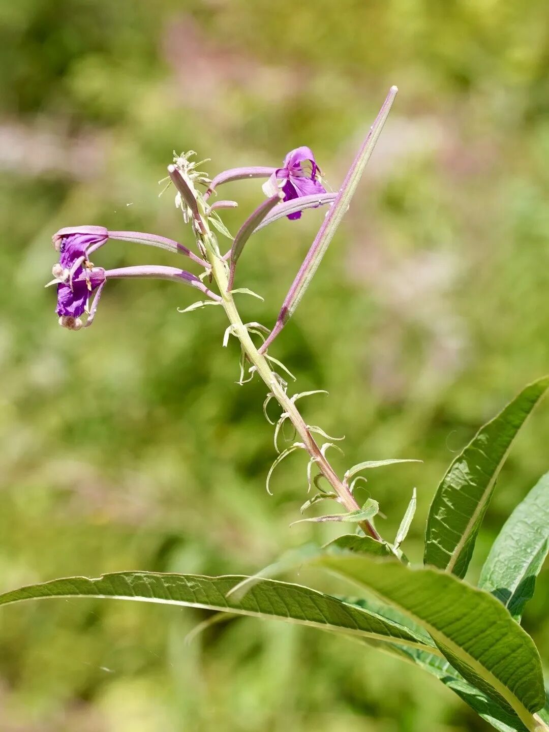 山迹街ESSAY | 何以尾濑?