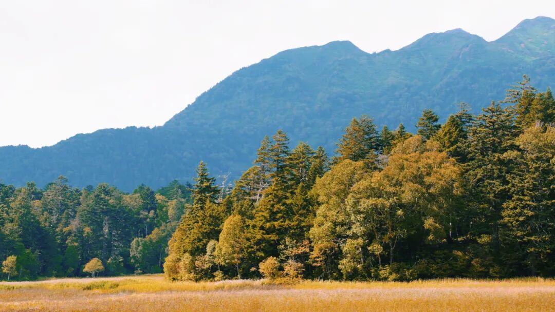 山迹街ESSAY | 何以尾濑?