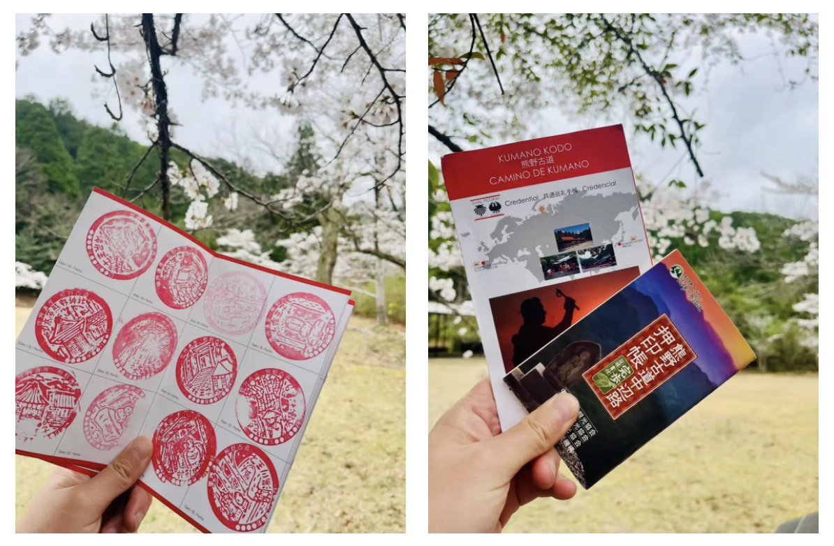 山迹街GoOut｜山樱古道满，熊野遍路时（2026年樱花季熊野古道徒步）