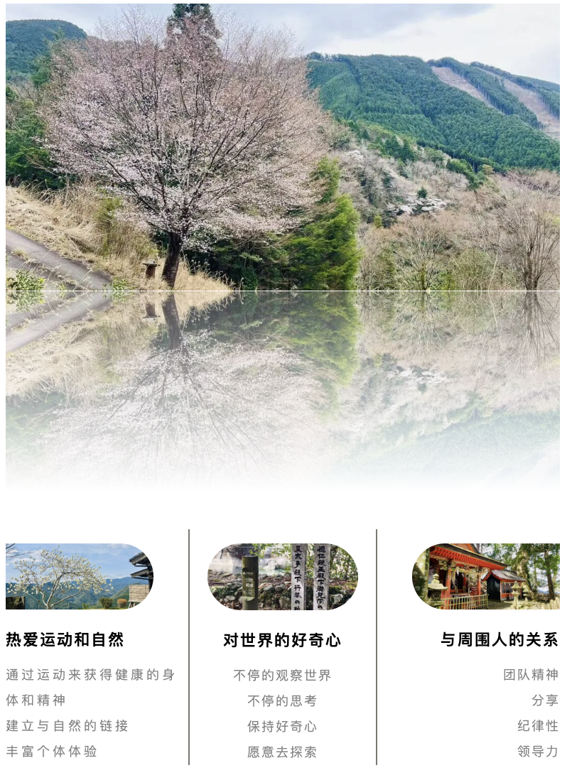 山迹街GoOut｜山樱古道满，熊野遍路时（2026年樱花季熊野古道徒步）